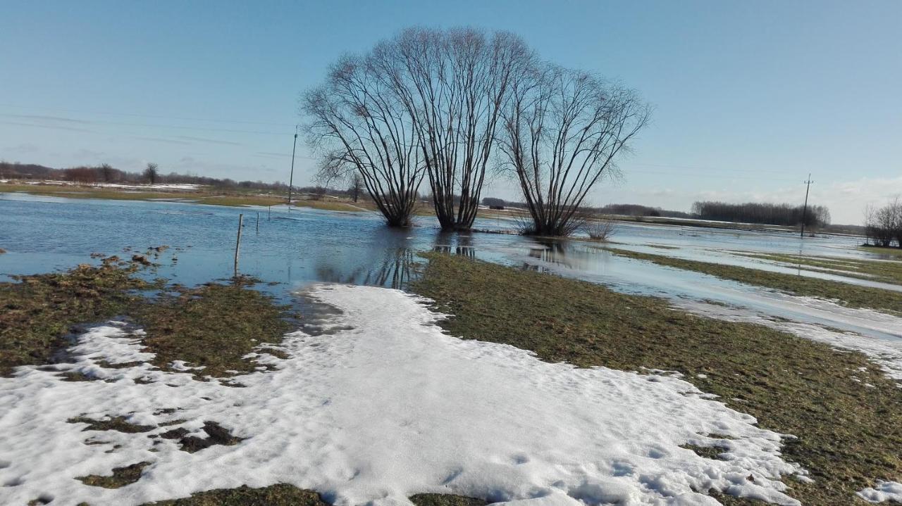 Dom W Spokojnej Okolicy Dubicze Cerkiewne